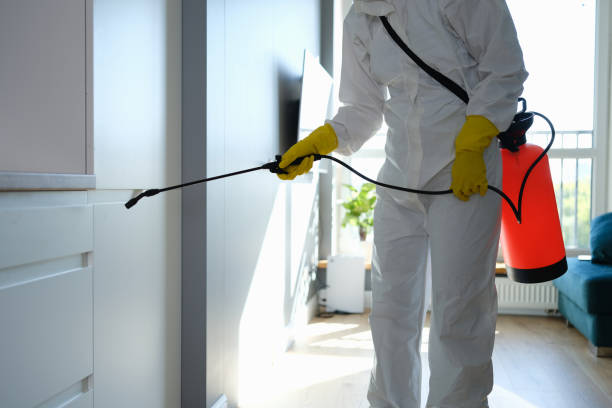 Mold Removal and Inspection in Kenly, NC