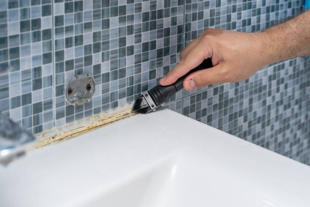 Best Affordable Mold Removal  in Kenly, NC