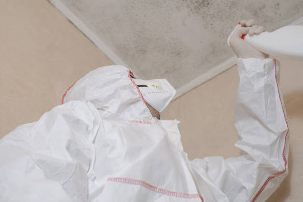 Best Mold Testing  in Kenly, NC